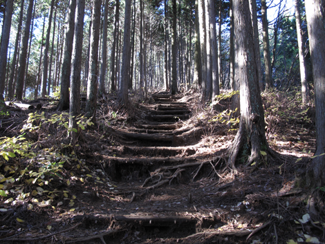 20151127hike (153)